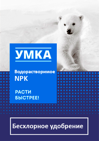 umka_concept_5_4sku%201 2