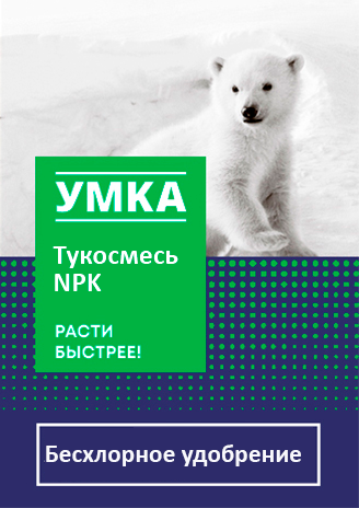 umka_concept_5_4sku%201 2