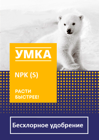 umka_concept_5_4sku%201 2